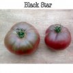 Tomate Black Star 10 semillas TessGruun