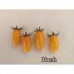 ZTOTGBL Tomate Blush 10 semillas TessGruun