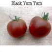 Tomate Black Yum Yum 10 semillas TessGruun