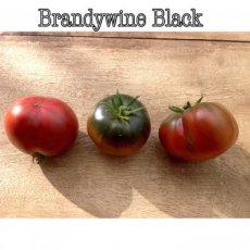 Tomate Brandywine Negro / Brandywine Black 10 semillas