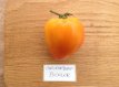 ZTOTGCODBOBI Tomato Coeur de Boeuf Bicolor 10 seeds TessGruun