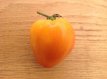 Tomate Coeur de Boeuf Bicolor 10 semillas TessGruun
