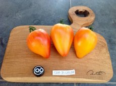 ZTOTGCODBOBI Tomate Coeur de Boeuf Bicolor 10 semillas TessGruun