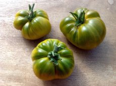 ZTOTGCHGR Tomate Charlie's Green 10 semillas TessGruun