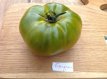 ZTOTGEV Tomate Evergreen 10 graines TessGruun