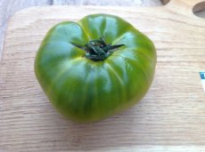 ZTOTGEV Tomate Evergreen 10 semillas TessGruun