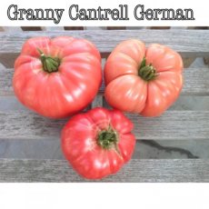 Tomaat Granny Cantrell German 10 zaden TessGruun