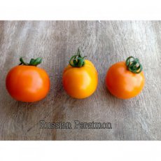 ZTOTGRUPE Tomato Russian Persimon 10 seeds TessGruun