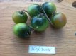 ZTOTGBEDWBE Tomate Beryl Dwarf Beauty 10 graines TessGruun
