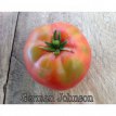 ZTOTGGEJO Tomate German Johnson 10 semillas TessGruun
