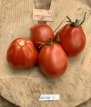 Tomaat Big Red Pear 10 zaden