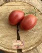 ZTOWTCDBRO Tomate Coeur De Boeuf Rose 10 semillas