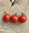 ZTOWTCEBRDEMU Tomato Cerisette Brin de Muguet 10 seeds