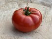 Tomate Costoluto di Chivasso/Chivassa 10 semillas