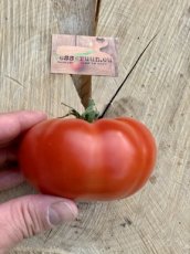 ZTOWTCODICH Tomato Costoluto di Chivasso/Chivassa 10 seeds