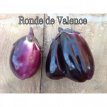 Aubergine Ronde de Valence 10 graines TessGruun