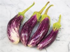 Aubergine Tsakoniki 10 graines BIO TessGruun