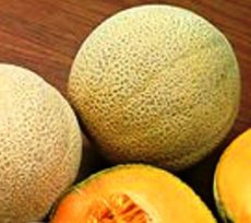 ZVRTEMHBZ10B Melon Hales Best Jumbo 10 ORGANIC seeds TessGruun