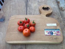 Aubergine Brazilian Scarlet 7 graines TessGruun