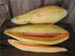 ZVRTGBAME15 Banana Melon 5 seeds TessGruun