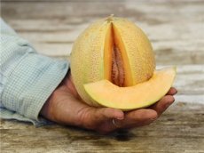 Meloen Minnesota Midget 5 zaden TessGruun