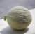 ZVRTGSDT10 Melon Sucrin de Tours 5 organic seeds TessGruun