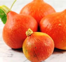 Pompoen Red Kuri Uchiki Kuri BIO 5 zaden TessGruun